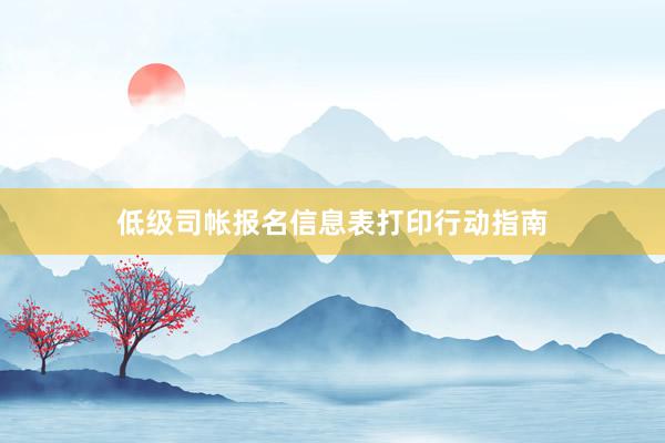 低级司帐报名信息表打印行动指南