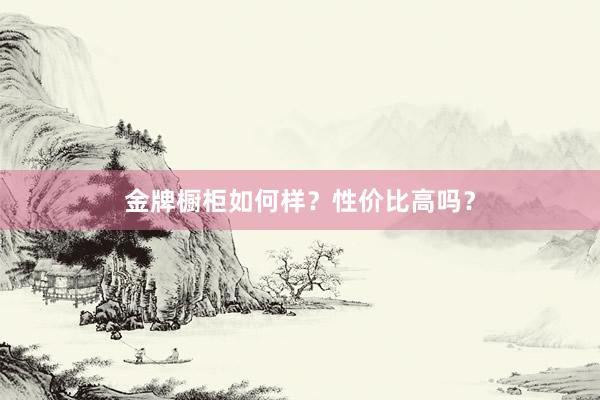 金牌橱柜如何样？性价比高吗？