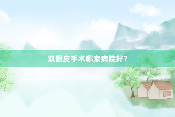 双眼皮手术哪家病院好？